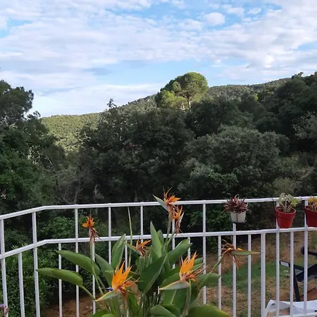Sea View Holiday House Calonge Holiday home